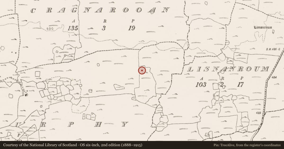 Ordnance Survey six-inch map, 2nd edition (1888–1915) covering the location of Enclosure, Ballymurphy, County Clare, with a pin at the register's coordinates