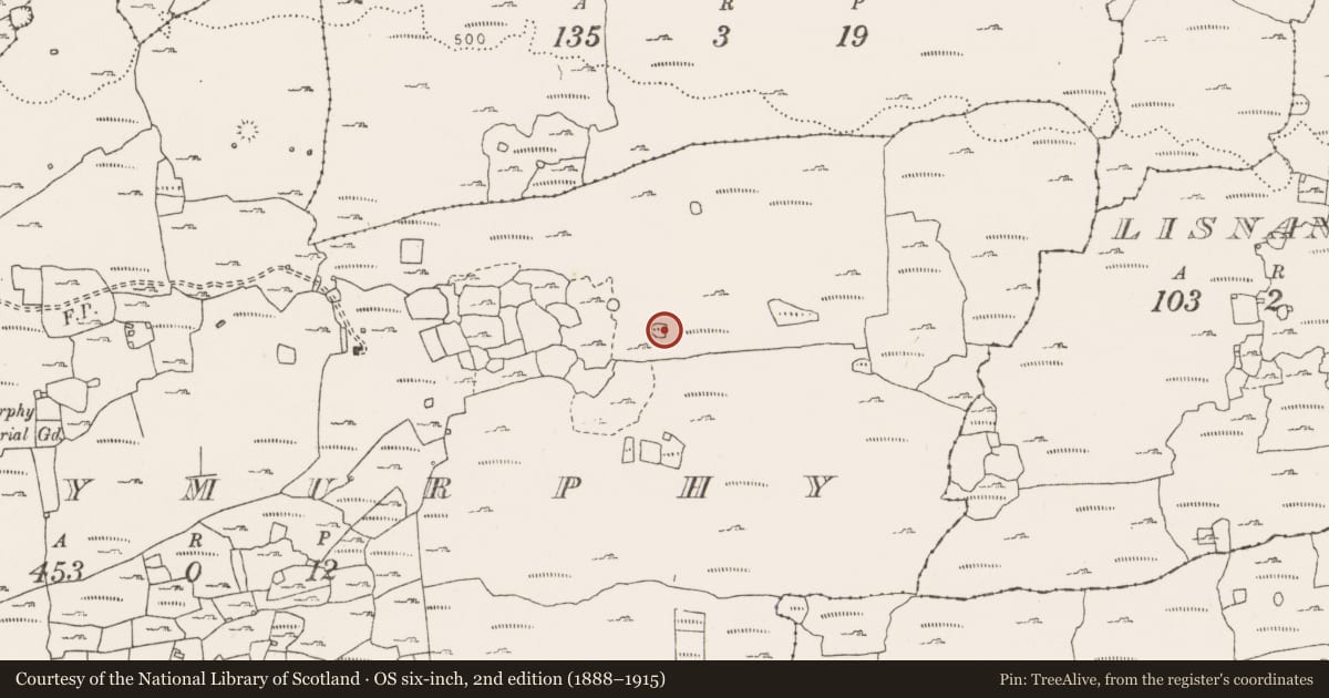 Ordnance Survey six-inch map, 2nd edition (1888–1915) covering the location of Enclosure, Ballymurphy, County Clare, with a pin at the register's coordinates