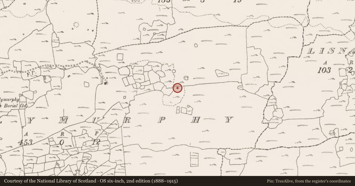 Ordnance Survey six-inch map, 2nd edition (1888–1915) covering the location of Enclosure, Ballymurphy, County Clare, with a pin at the register's coordinates