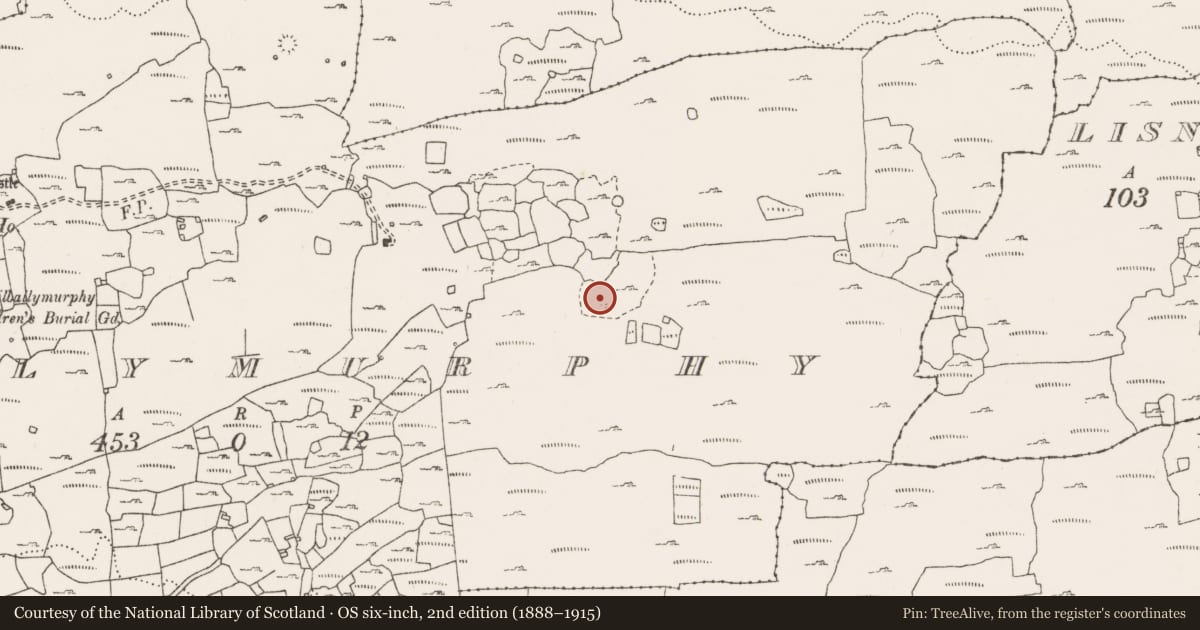 Ordnance Survey six-inch map, 2nd edition (1888–1915) covering the location of Enclosure, Ballymurphy, County Clare, with a pin at the register's coordinates