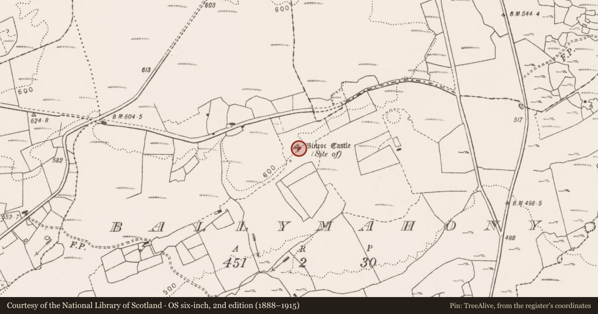 Ordnance Survey six-inch map, 2nd edition (1888–1915) covering the location of Castle - unclassified, Ballymahony, County Clare, with a pin at the register's coordinates