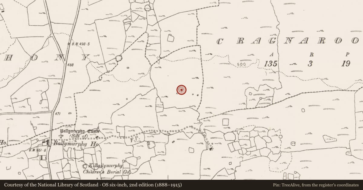 Ordnance Survey six-inch map, 2nd edition (1888–1915) covering the location of Ringfort - cashel, Ballymurphy, County Clare, with a pin at the register's coordinates