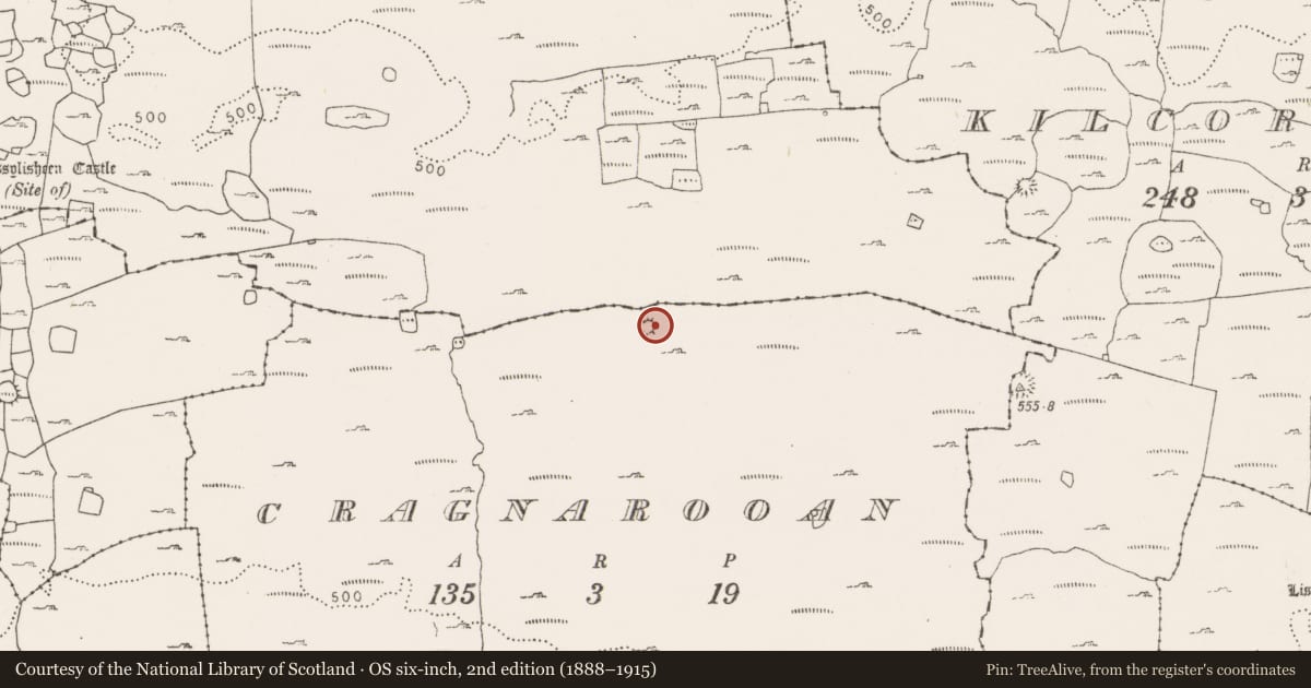 Ordnance Survey six-inch map, 2nd edition (1888–1915) covering the location of Ringfort - cashel, Cragnarooan, County Clare, with a pin at the register's coordinates