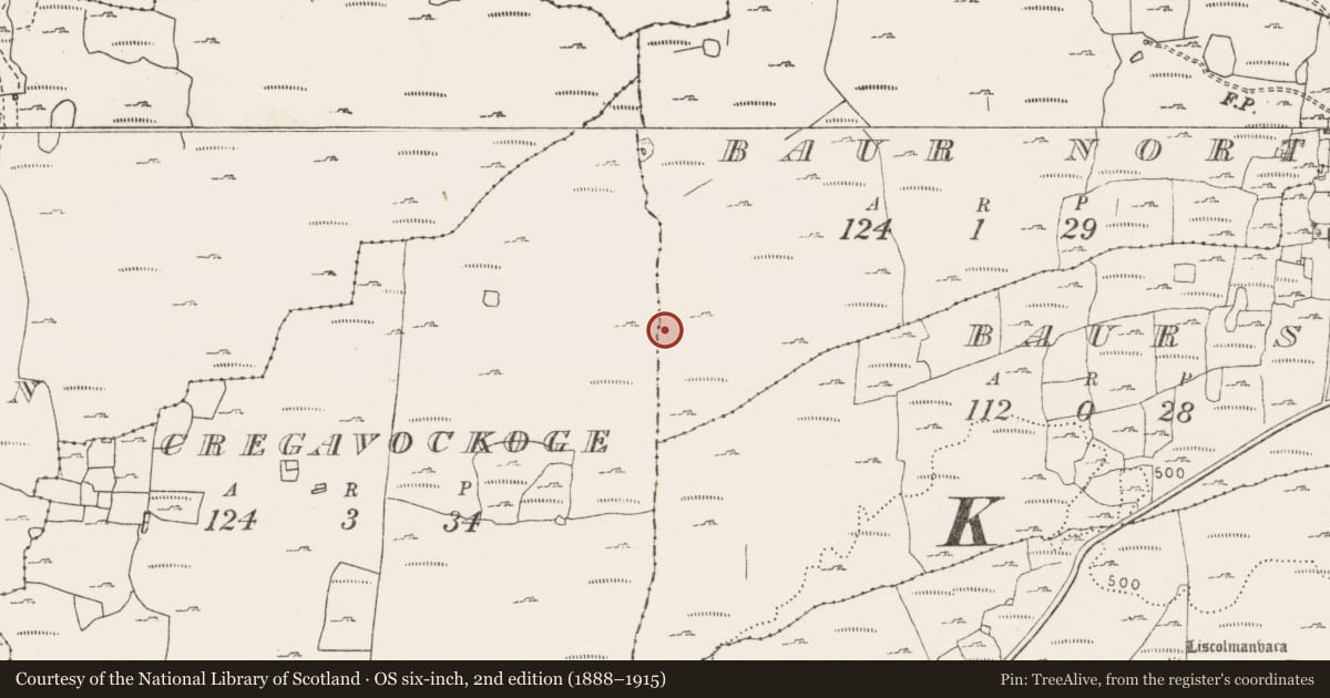 Ordnance Survey six-inch map, 2nd edition (1888–1915) covering the location of Megalithic tomb - wedge tomb, Cregavockoge, Baur North, County Clare, with a pin at the register's coordinates