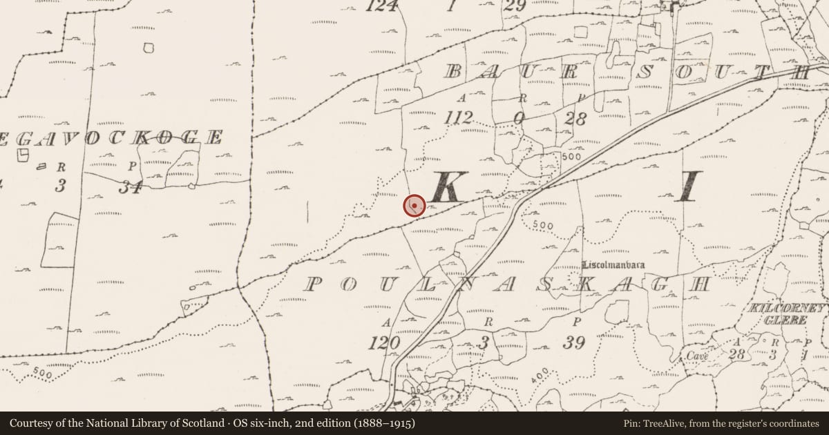 Ordnance Survey six-inch map, 2nd edition (1888–1915) covering the location of Megalithic tomb - wedge tomb, Baur South, County Clare, with a pin at the register's coordinates
