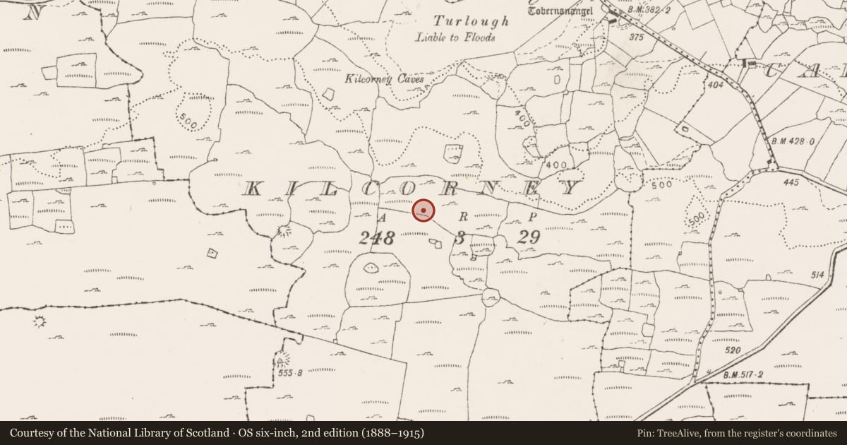 Ordnance Survey six-inch map, 2nd edition (1888–1915) covering the location of Field system, Kilcorney, County Clare, with a pin at the register's coordinates