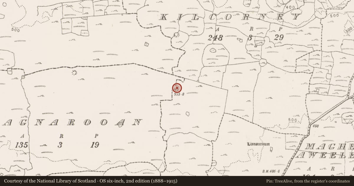 Ordnance Survey six-inch map, 2nd edition (1888–1915) covering the location of Ringfort - cashel, Cragnarooan, Kilcorney, County Clare, with a pin at the register's coordinates