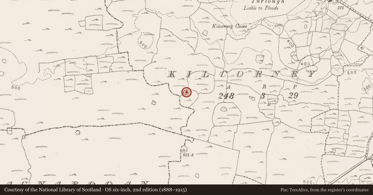 Ordnance Survey six-inch map, 2nd edition (1888–1915) covering the location of Enclosure, Kilcorney, County Clare, with a pin at the register's coordinates
