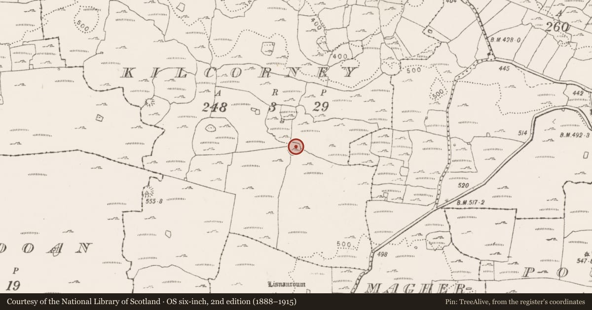 Ordnance Survey six-inch map, 2nd edition (1888–1915) covering the location of Enclosure, Kilcorney, County Clare, with a pin at the register's coordinates