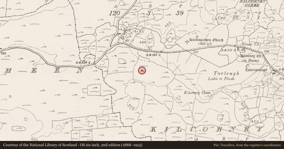 Ordnance Survey six-inch map, 2nd edition (1888–1915) covering the location of Enclosure, Kilcorney, County Clare, with a pin at the register's coordinates
