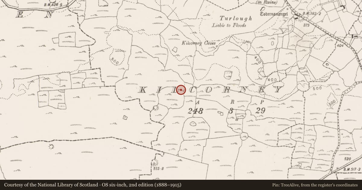 Ordnance Survey six-inch map, 2nd edition (1888–1915) covering the location of Fulacht fia, Kilcorney, County Clare, with a pin at the register's coordinates
