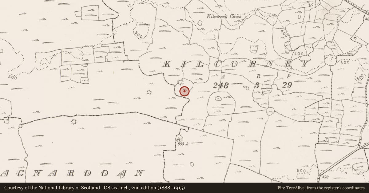 Ordnance Survey six-inch map, 2nd edition (1888–1915) covering the location of Hut site, Kilcorney, County Clare, with a pin at the register's coordinates