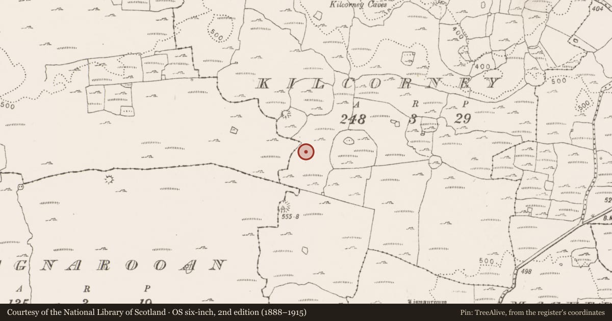 Ordnance Survey six-inch map, 2nd edition (1888–1915) covering the location of Cairn - ring-cairn, Kilcorney, County Clare, with a pin at the register's coordinates