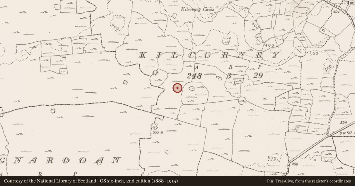 Ordnance Survey six-inch map, 2nd edition (1888–1915) covering the location of Cairn - unclassified, Kilcorney, County Clare, with a pin at the register's coordinates