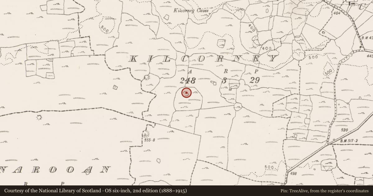 Ordnance Survey six-inch map, 2nd edition (1888–1915) covering the location of Enclosure, Kilcorney, County Clare, with a pin at the register's coordinates
