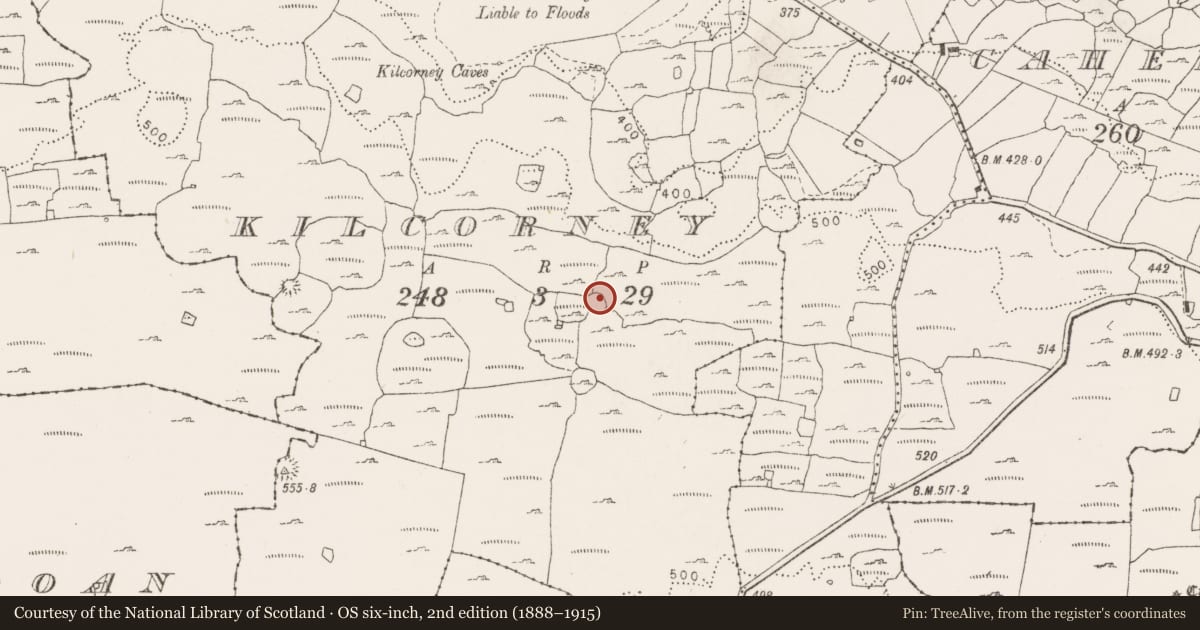 Ordnance Survey six-inch map, 2nd edition (1888–1915) covering the location of Ringfort - cashel, Kilcorney, County Clare, with a pin at the register's coordinates
