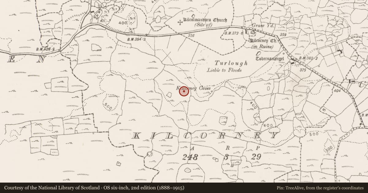 Ordnance Survey six-inch map, 2nd edition (1888–1915) covering the location of Cairn - unclassified, Kilcorney, County Clare, with a pin at the register's coordinates