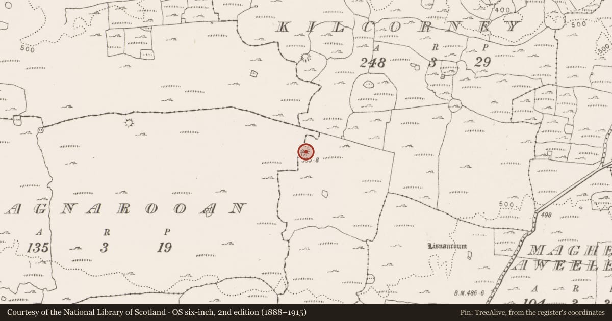 Ordnance Survey six-inch map, 2nd edition (1888–1915) covering the location of Souterrain, Kilcorney, County Clare, with a pin at the register's coordinates