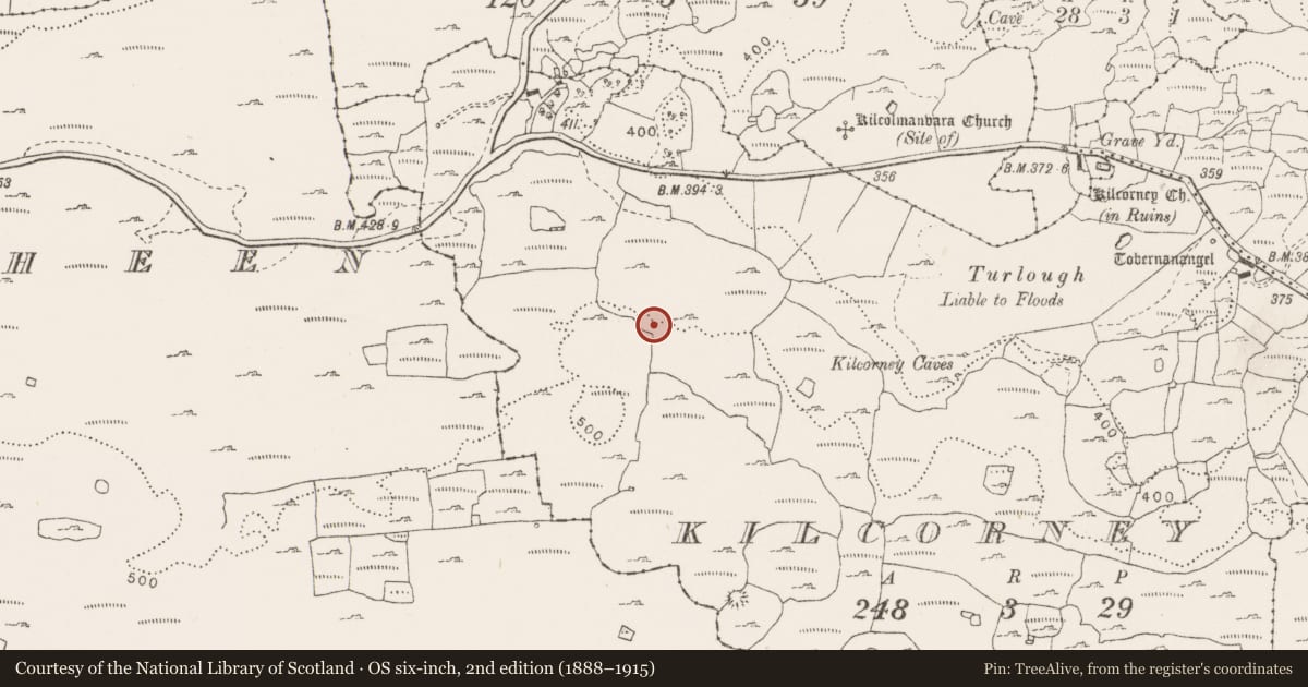 Ordnance Survey six-inch map, 2nd edition (1888–1915) covering the location of Enclosure, Kilcorney, County Clare, with a pin at the register's coordinates