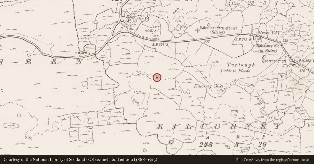 Ordnance Survey six-inch map, 2nd edition (1888–1915) covering the location of Hut site, Kilcorney, County Clare, with a pin at the register's coordinates