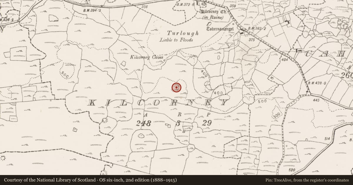 Ordnance Survey six-inch map, 2nd edition (1888–1915) covering the location of Enclosure, Kilcorney, County Clare, with a pin at the register's coordinates