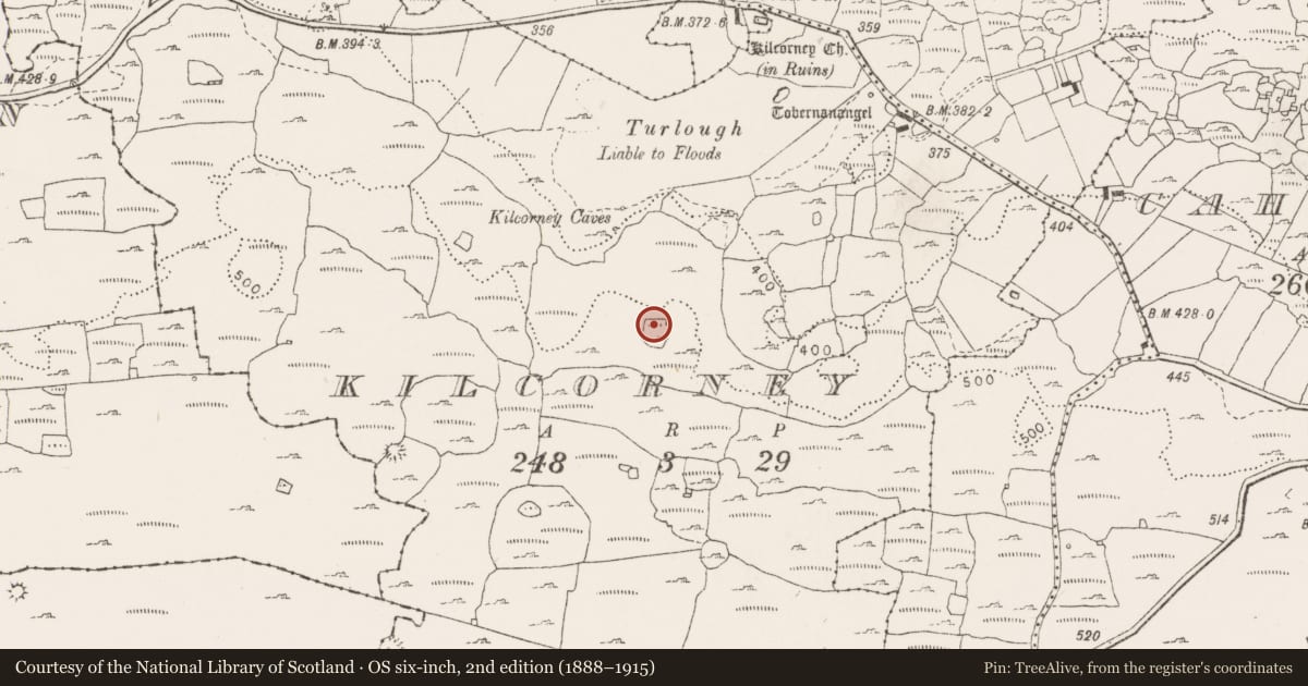 Ordnance Survey six-inch map, 2nd edition (1888–1915) covering the location of Souterrain, Kilcorney, County Clare, with a pin at the register's coordinates