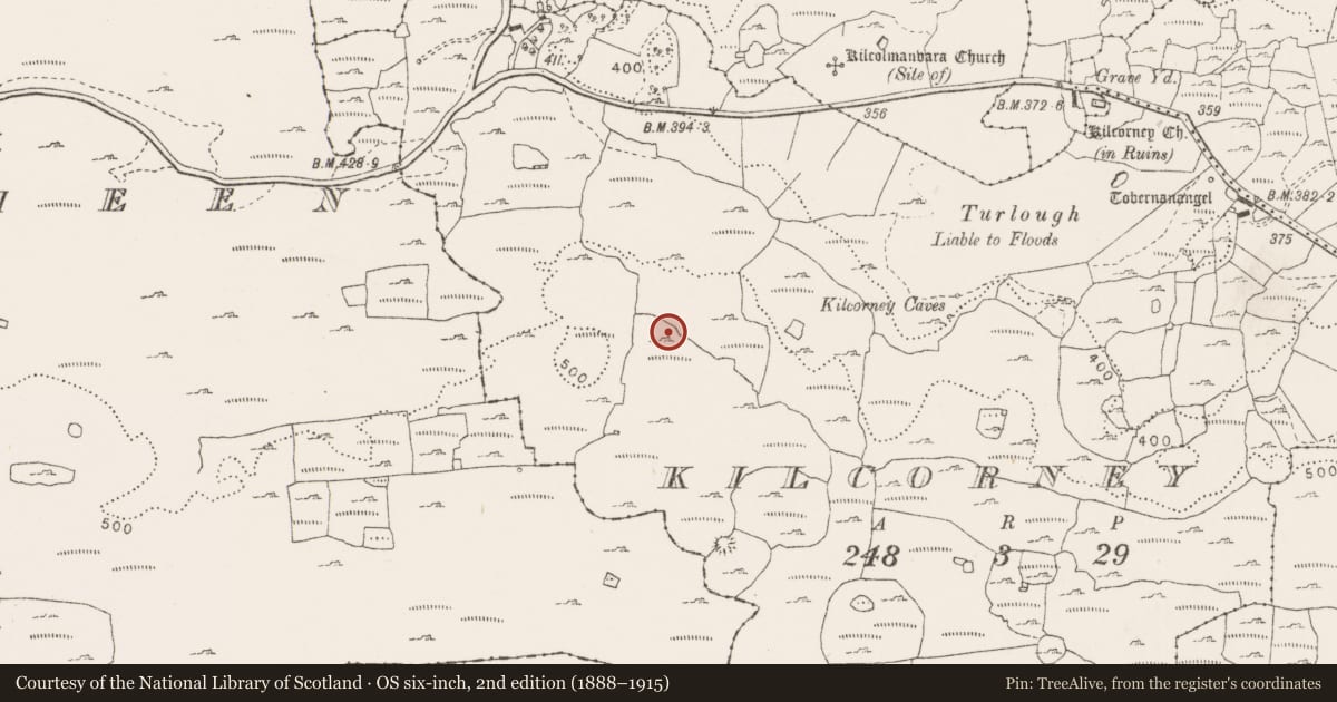 Ordnance Survey six-inch map, 2nd edition (1888–1915) covering the location of Cairn - burial cairn, Kilcorney, County Clare, with a pin at the register's coordinates