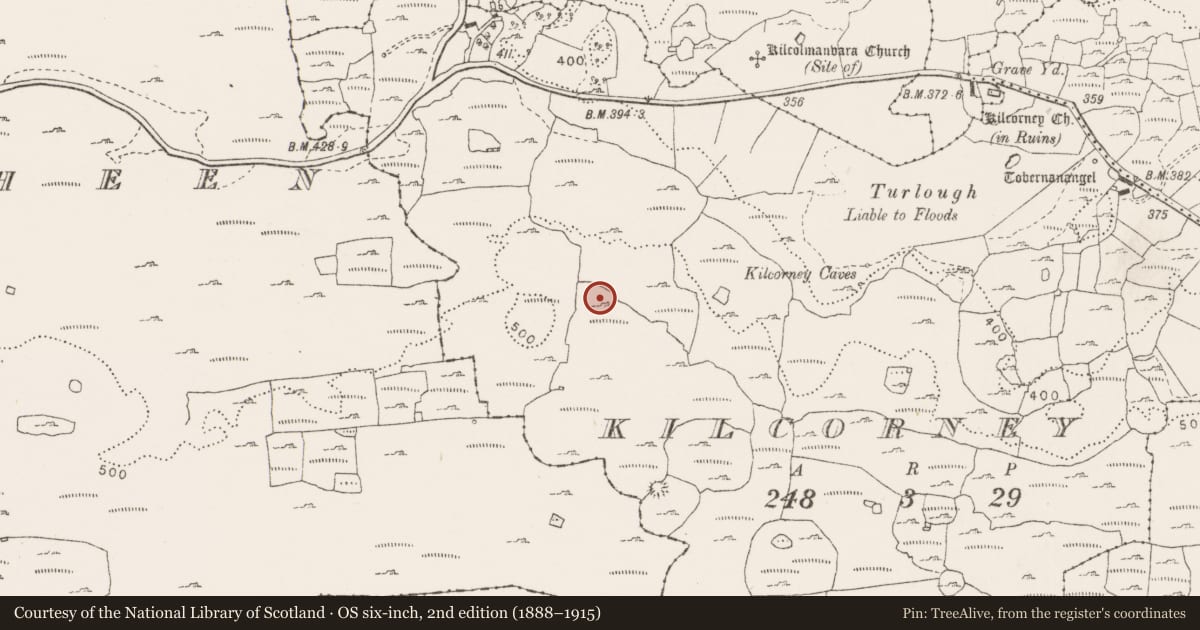 Ordnance Survey six-inch map, 2nd edition (1888–1915) covering the location of House - prehistoric, Kilcorney, County Clare, with a pin at the register's coordinates