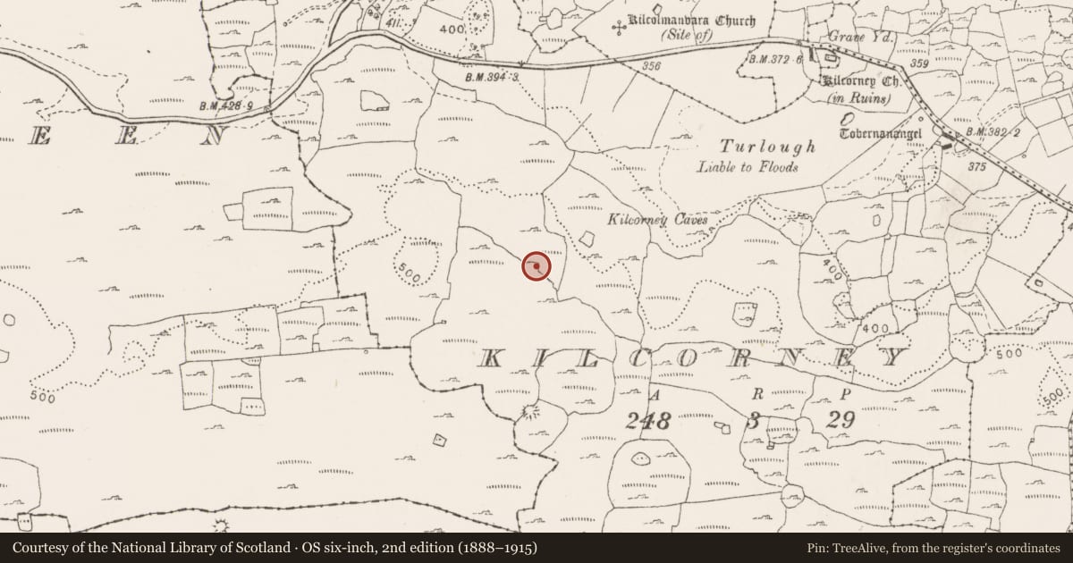 Ordnance Survey six-inch map, 2nd edition (1888–1915) covering the location of Enclosure, Kilcorney, County Clare, with a pin at the register's coordinates