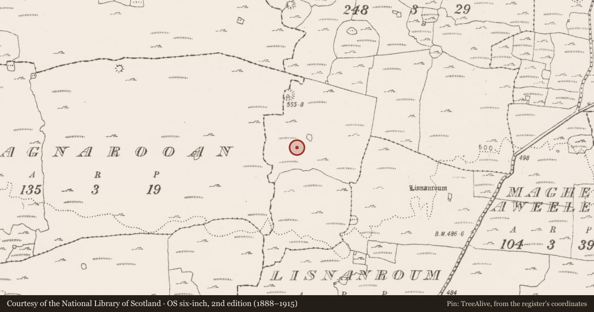 Ordnance Survey six-inch map, 2nd edition (1888–1915) covering the location of Hut site, Kilcorney, County Clare, with a pin at the register's coordinates