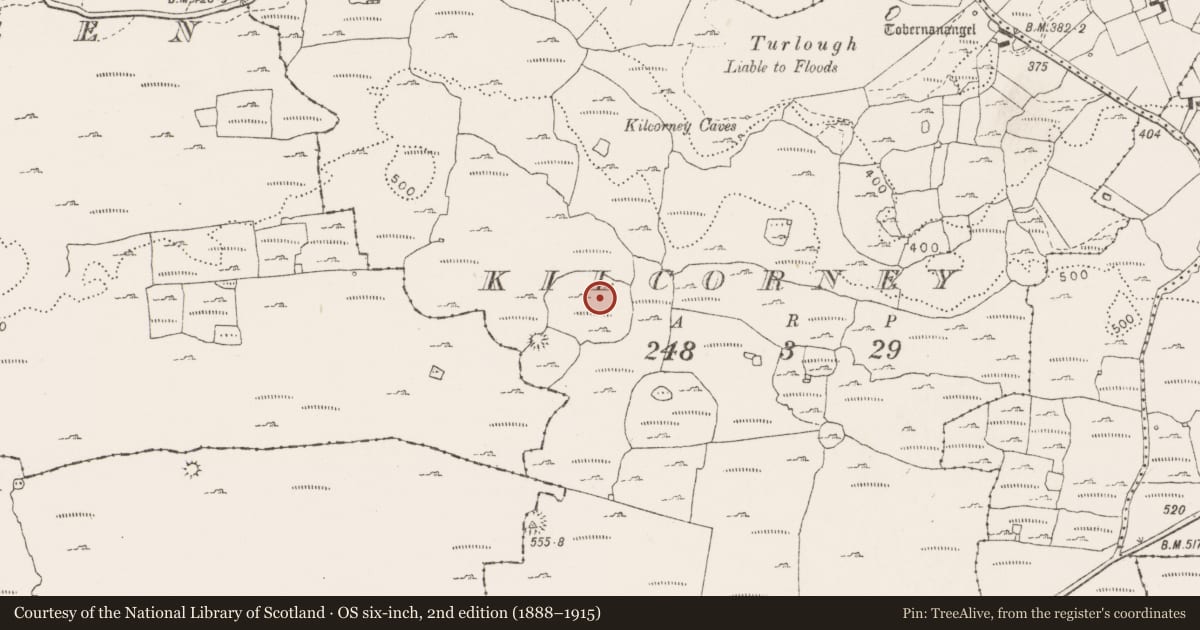Ordnance Survey six-inch map, 2nd edition (1888–1915) covering the location of Enclosure, Kilcorney, County Clare, with a pin at the register's coordinates