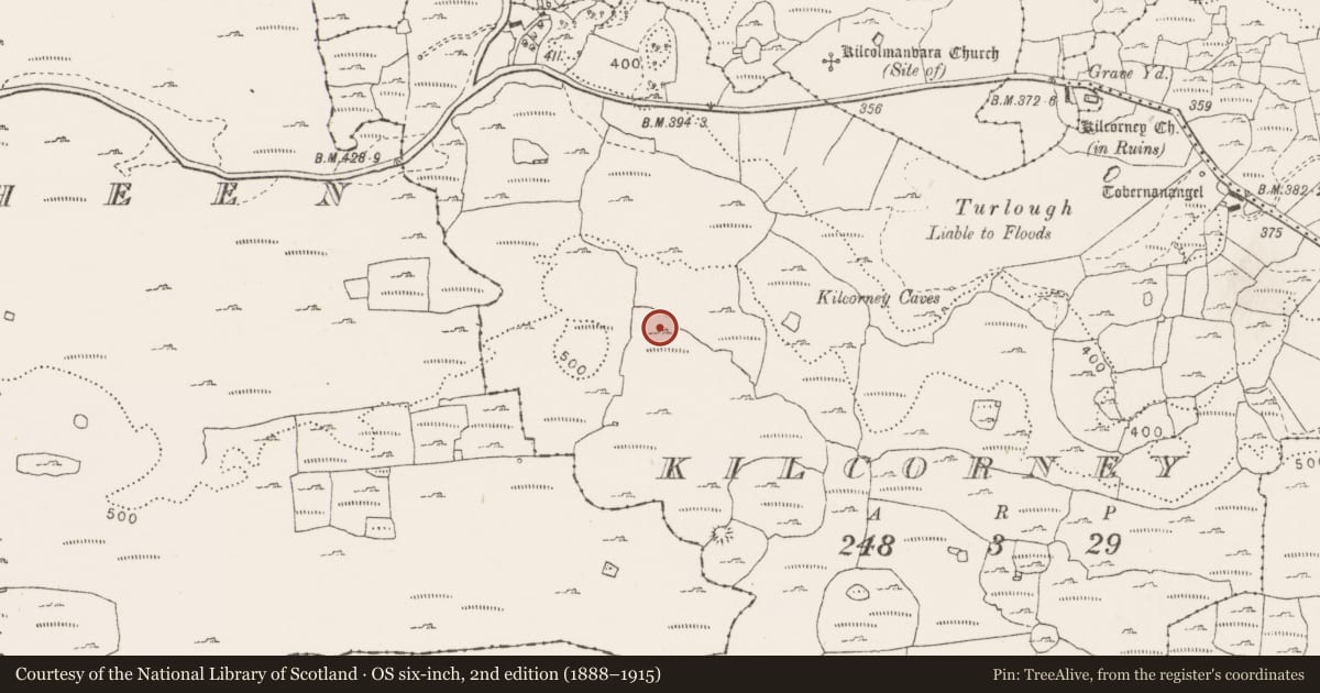 Ordnance Survey six-inch map, 2nd edition (1888–1915) covering the location of Enclosure, Kilcorney, County Clare, with a pin at the register's coordinates