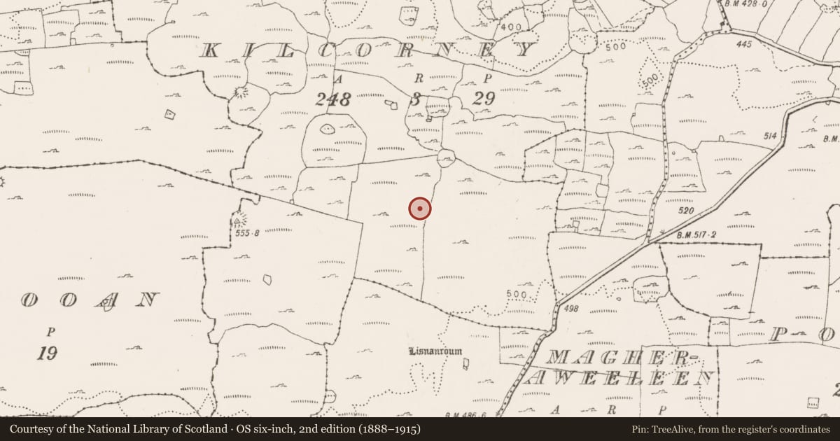 Ordnance Survey six-inch map, 2nd edition (1888–1915) covering the location of Enclosure, Kilcorney, County Clare, with a pin at the register's coordinates