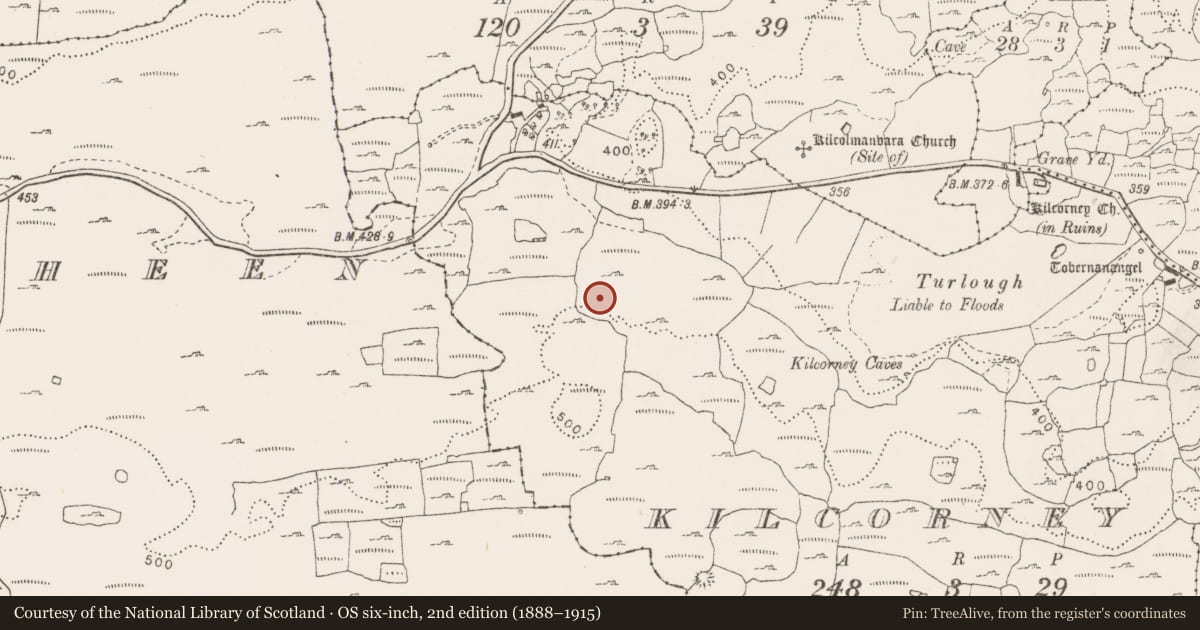 Ordnance Survey six-inch map, 2nd edition (1888–1915) covering the location of Enclosure, Kilcorney, County Clare, with a pin at the register's coordinates