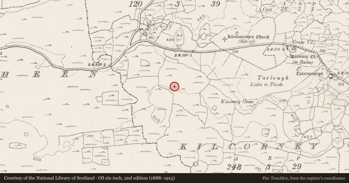 Ordnance Survey six-inch map, 2nd edition (1888–1915) covering the location of Enclosure, Kilcorney, County Clare, with a pin at the register's coordinates