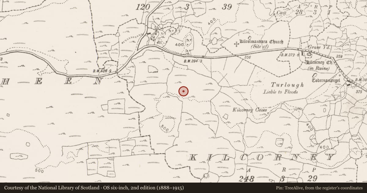 Ordnance Survey six-inch map, 2nd edition (1888–1915) covering the location of Enclosure, Kilcorney, County Clare, with a pin at the register's coordinates