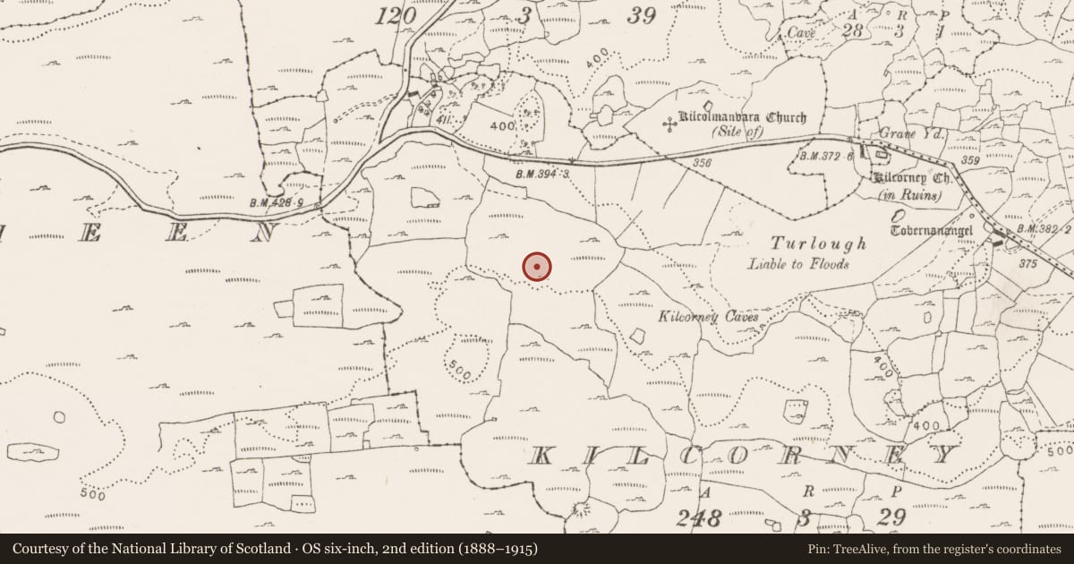 Ordnance Survey six-inch map, 2nd edition (1888–1915) covering the location of Enclosure, Kilcorney, County Clare, with a pin at the register's coordinates