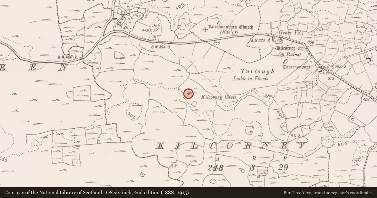 Ordnance Survey six-inch map, 2nd edition (1888–1915) covering the location of Enclosure, Kilcorney, County Clare, with a pin at the register's coordinates