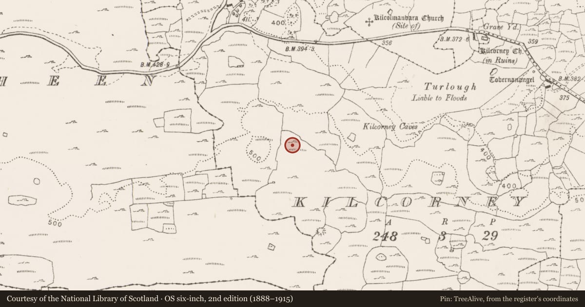 Ordnance Survey six-inch map, 2nd edition (1888–1915) covering the location of House - indeterminate date, Kilcorney, County Clare, with a pin at the register's coordinates