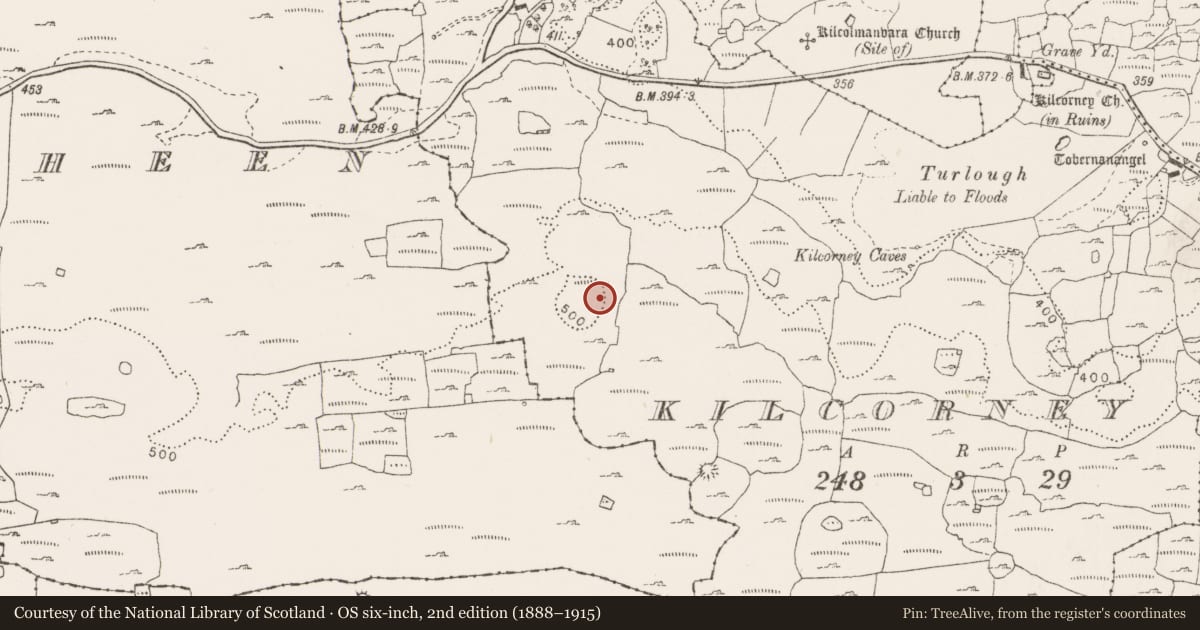 Ordnance Survey six-inch map, 2nd edition (1888–1915) covering the location of Enclosure, Kilcorney, County Clare, with a pin at the register's coordinates