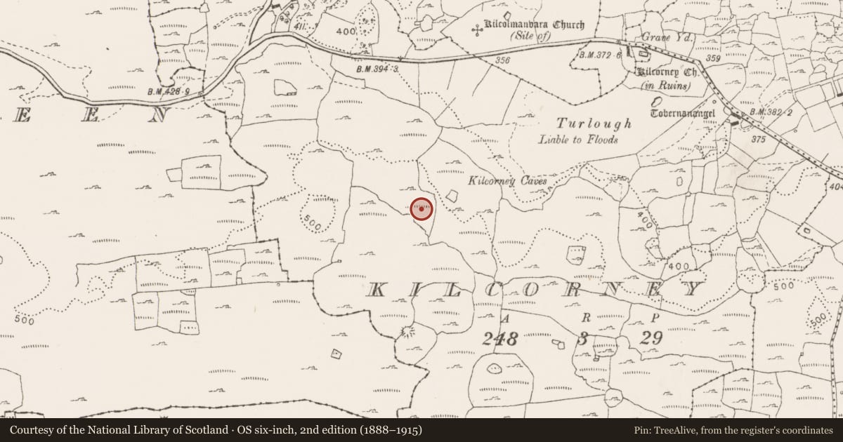 Ordnance Survey six-inch map, 2nd edition (1888–1915) covering the location of Enclosure, Kilcorney, County Clare, with a pin at the register's coordinates
