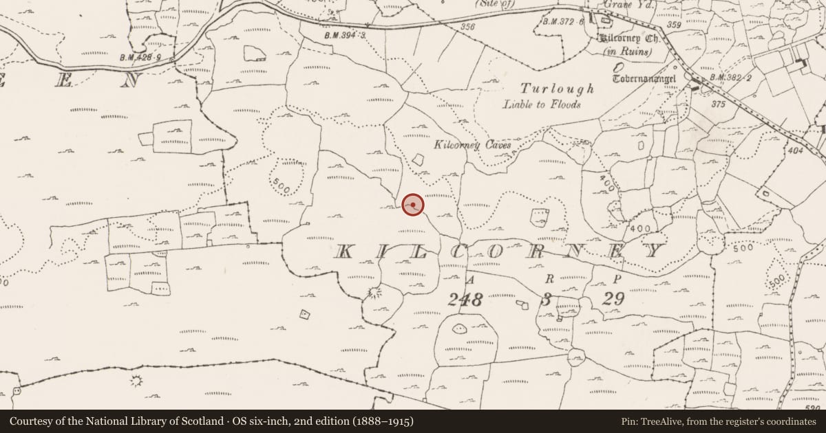 Ordnance Survey six-inch map, 2nd edition (1888–1915) covering the location of Enclosure, Kilcorney, County Clare, with a pin at the register's coordinates