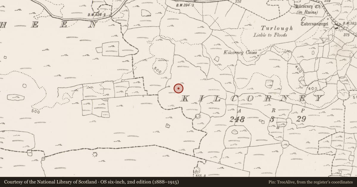 Ordnance Survey six-inch map, 2nd edition (1888–1915) covering the location of House - indeterminate date, Kilcorney, County Clare, with a pin at the register's coordinates