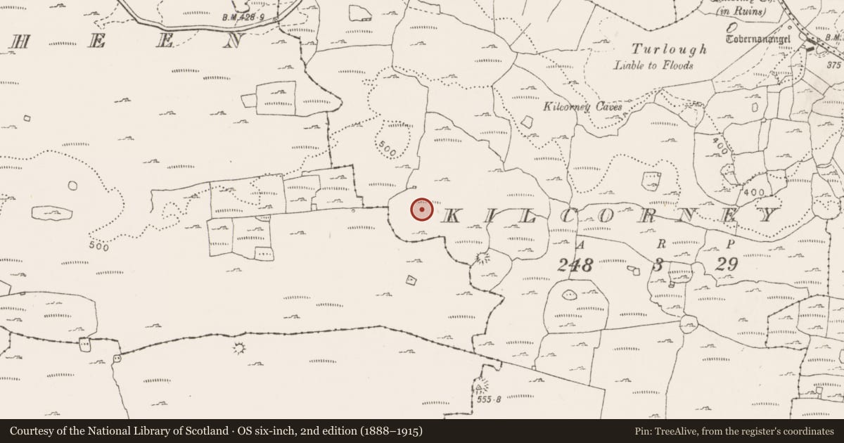 Ordnance Survey six-inch map, 2nd edition (1888–1915) covering the location of Enclosure, Kilcorney, Lissylisheen, County Clare, with a pin at the register's coordinates