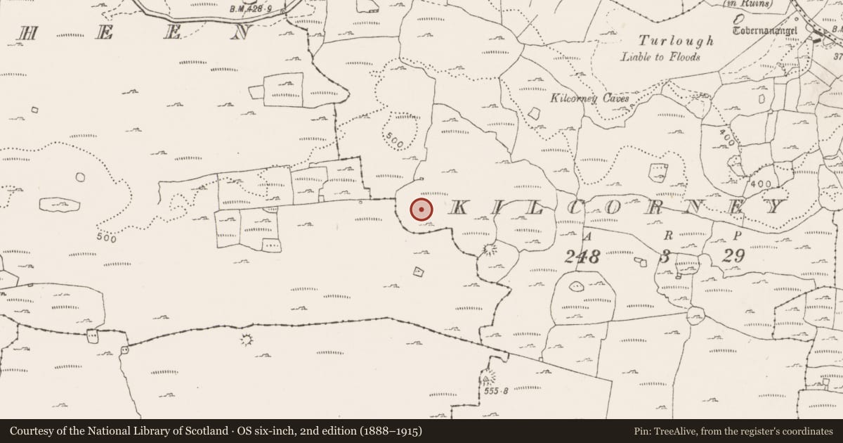 Ordnance Survey six-inch map, 2nd edition (1888–1915) covering the location of Enclosure, Kilcorney, County Clare, with a pin at the register's coordinates
