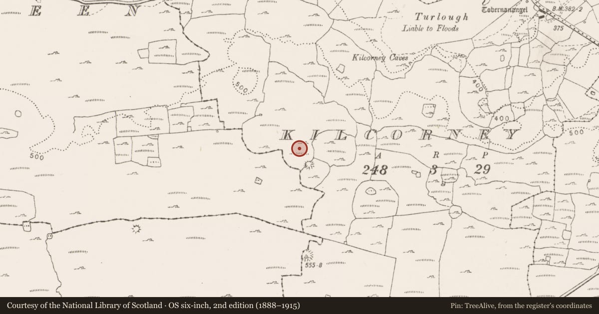 Ordnance Survey six-inch map, 2nd edition (1888–1915) covering the location of Enclosure, Kilcorney, Lissylisheen, County Clare, with a pin at the register's coordinates
