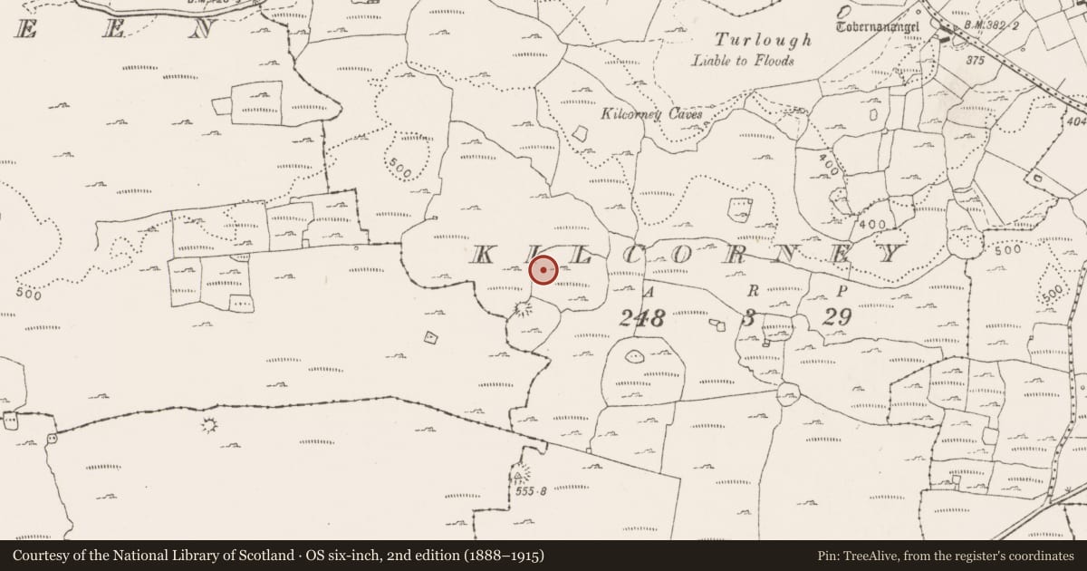 Ordnance Survey six-inch map, 2nd edition (1888–1915) covering the location of House - indeterminate date, Kilcorney, County Clare, with a pin at the register's coordinates