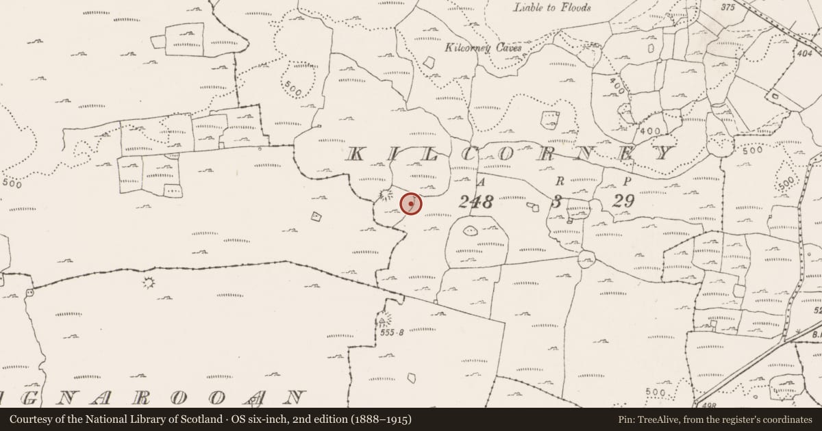 Ordnance Survey six-inch map, 2nd edition (1888–1915) covering the location of House - indeterminate date, Kilcorney, County Clare, with a pin at the register's coordinates