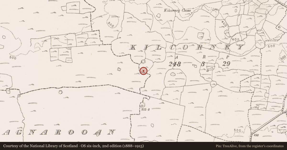 Ordnance Survey six-inch map, 2nd edition (1888–1915) covering the location of House - indeterminate date, Kilcorney, County Clare, with a pin at the register's coordinates