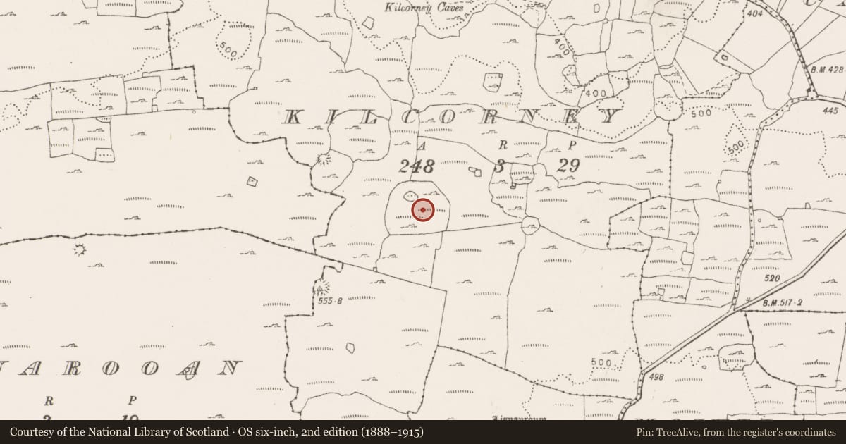 Ordnance Survey six-inch map, 2nd edition (1888–1915) covering the location of Enclosure, Kilcorney, County Clare, with a pin at the register's coordinates